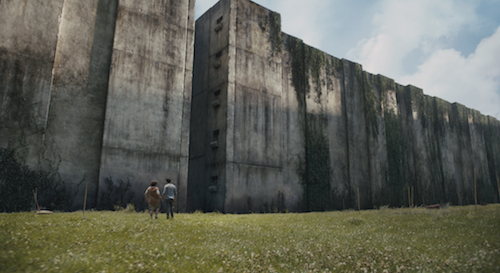 THE MAZE RUNNER A group of boys known as the Gladers are trapped inside a mysterious and massive maze. Photo Credit: Ben Rothstein TM and Â© 2014 Twentieth Century Fox Film Corporation. All Rights Reserved. Not for sale or duplication.
