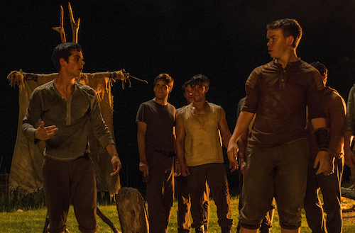 THE MAZE RUNNER Thomas (Dylan O'Brien, left) and Gally (Will Poulter, far right) devise an escape plan. Photo Credit: Ben Rothstein TM and Â© 2014 Twentieth Century Fox Film Corporation. All Rights Reserved. Not for sale or duplication.