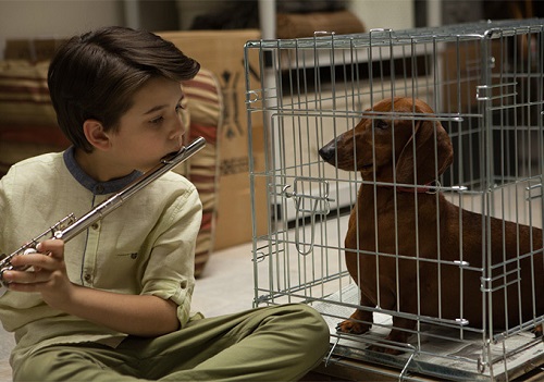 Wiener-Dog, photo courtesy of IFC Films.