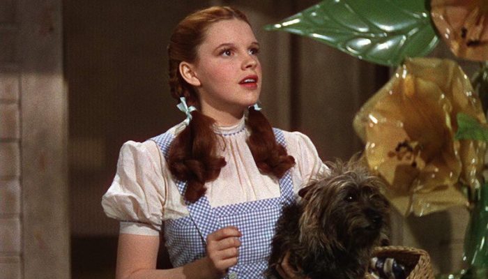 Judy Garland and Toto (Terry) in The Wizard of Oz (1939)